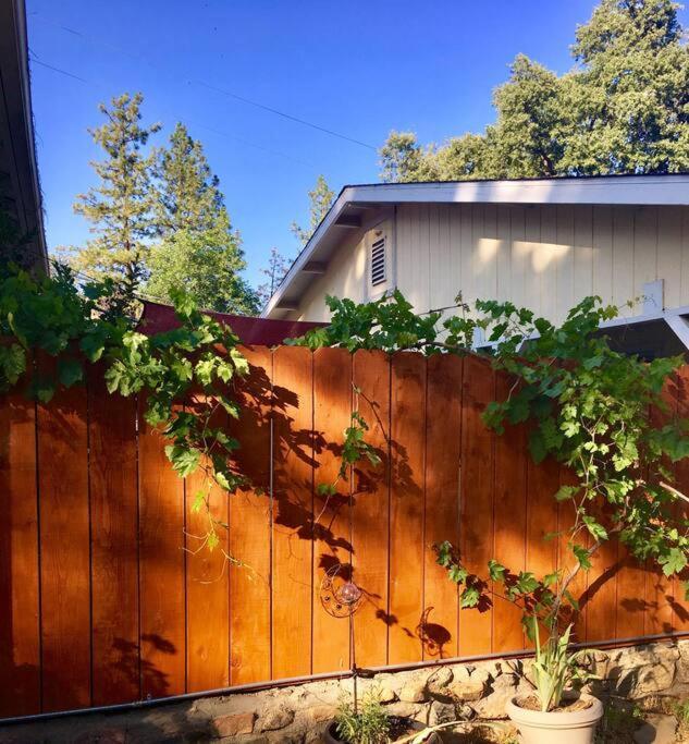 Sierra Sunset Cottage -Yosemite Area Vacation Cottage Ahwahnee Bagian luar foto
